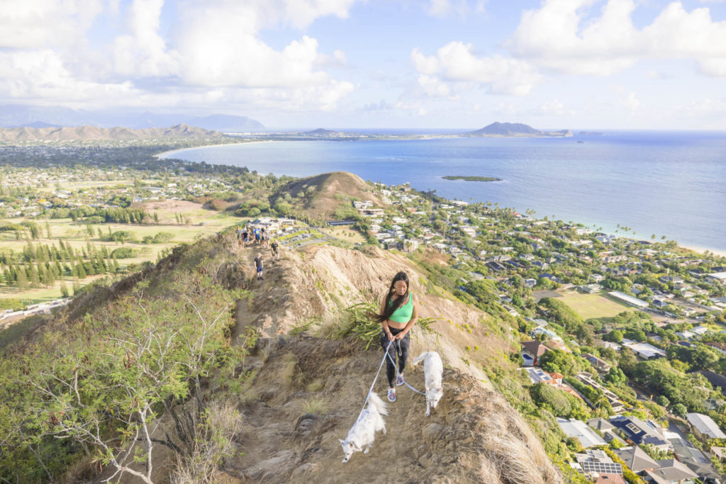 Lanikai Pillbox Oahu hike with dog dog friendly photo session with Keri Nakahashi Photography