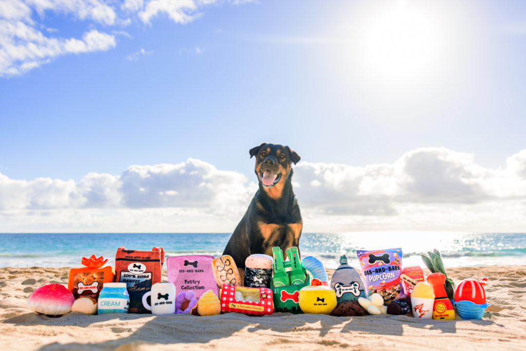 dis and bark toys with dog holiday gift ideas for dogs in honolulu