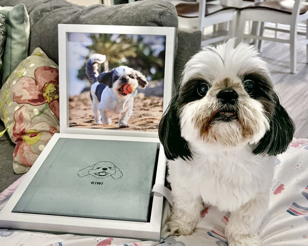Printed artwork display of senior dog photography in client’s home